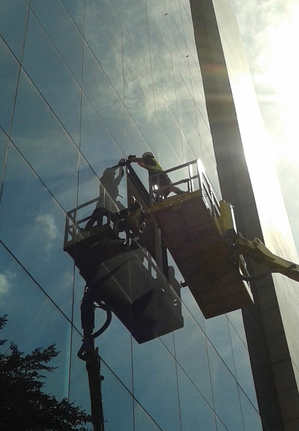 Curtain Wall Glazing